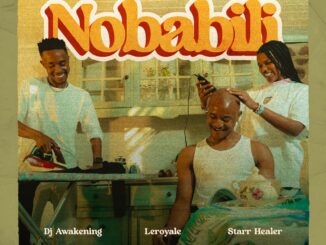 Leroyale & DJ Awakening – Nobabili (feat. Starr Healer)