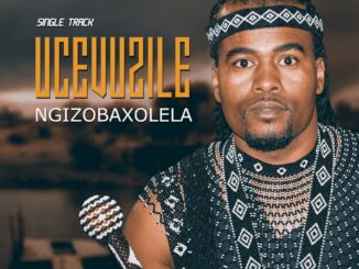 Cevuzile – Ngizobaxolela