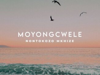 Nontokozo Mkhize - Moyongcwele (Song)