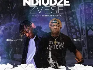 Chillmaster – Ndiudze Zvese Remix