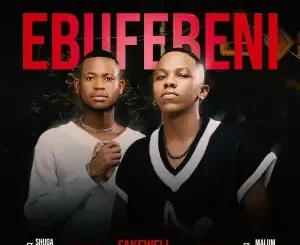 Fake’well - Ebufebeni ft. Malume.hypeman & Shuga Mizer