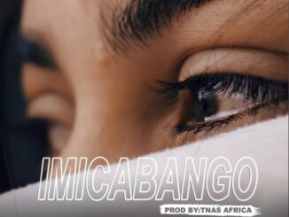 Didablk – Imicabango ft. L.DeeKay Fakaza