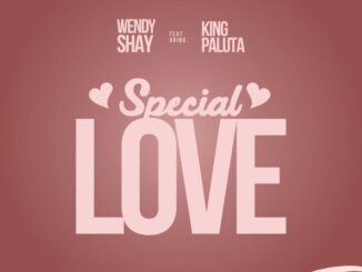 Wendy Shay - Special Love ft. King Paluta (Mp3 Download)