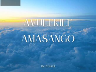 Aw’DjMara – Avulekile Amasango