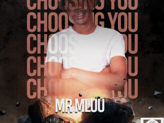 Mr Mluu – Choosing You EP