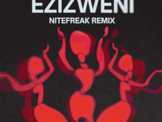 Hyenah Feat. DJ Tira & Luke Ntombela - Ezizweni (Nitefreak Remix)