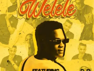 Vyno Keys, Fakewell & Cowboii – Welele (feat. Cater iv & Dooushii)