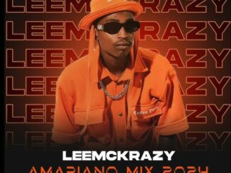 LeeMckrazy – Shona kwelanga ft Bassie