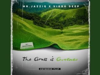 Mr JazziQ & Vigro Deep – Blue Skies Reloaded