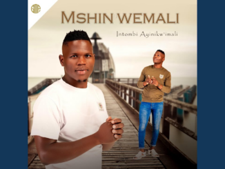 Mshinwemali – Ngicel Uhambe (feat. Zothando)