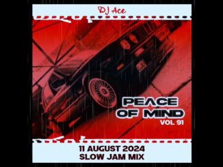 DJ Ace – Peace of Mind Vol 91 (Slow Jam Mix)