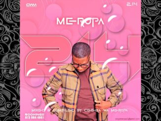 Ceega – Meropa 214 (Woolies Music Brings People Together)