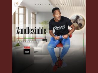 Zandlezinhle - Ngihlushwa Inhliziyo