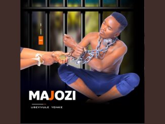 MAJOZI – USEYIVULE YONKE