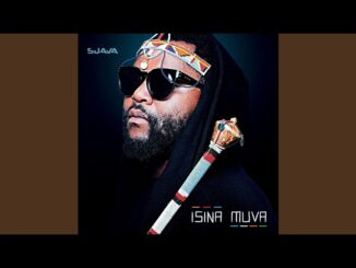 Sjava - Amafu