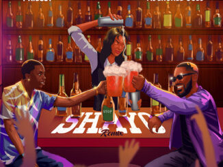 Priesst – Shayo (Remix) Ft Adekunle Gold