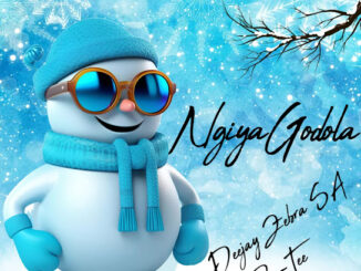 Deejay Zebra SA – Ngiya Godola ft Pro-Tee