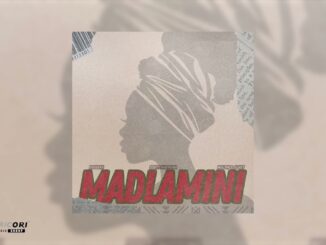 DoouShii and Scotts Maphuma - MaDlamini Feat. Mellow & Sleazy