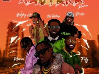 Jaivah – Kautaka (Remix) ft. Babyboy AV, Falz, Poco Lee, JFS Music, King Tone SA, DJ Neptune & Marioo