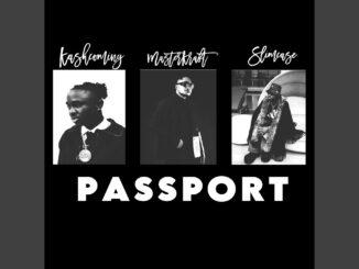 Masterkraft, Slimcase & Kashcoming - PASSPORT