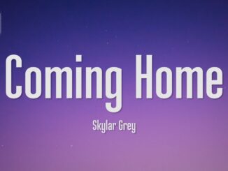 Skylar Grey - I'm coming home