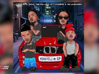 Thebuu – Mshayeli ft. Soul Revolver,  Cowboii & Mluusician