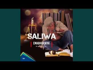 Saliwa - Let's chill Together (feat. Gqizile)