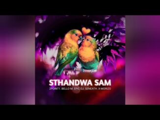 2Point1 - Sthandwa Sam ft Bello M  DJ Seneath X Morizo ( Official audio)