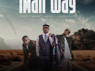 Aubrey Qwana – Imali Way Ft. EeQue, LeeMcKrazy, Mawelele & Makhosi