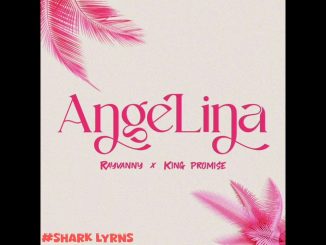 Rayvanny X King Promise - Angelina _-_ Official Audio