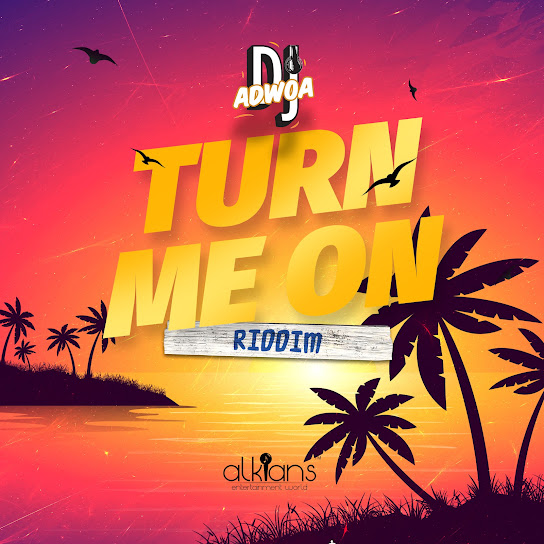 Dj Adwoa - Turn Me On