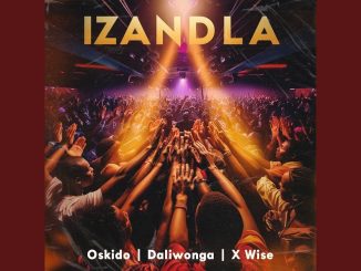 Oskido, Daliwonga & X-wise - Izandla (Official Audio)