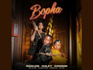 Ggoldie, Chley & CowBoii - Bopha (Official Audio) feat.AlХаро, Malume.Hypeman, lIWiseFellas, T.M....