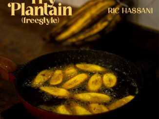 Ric Hassani - Fry Plantain