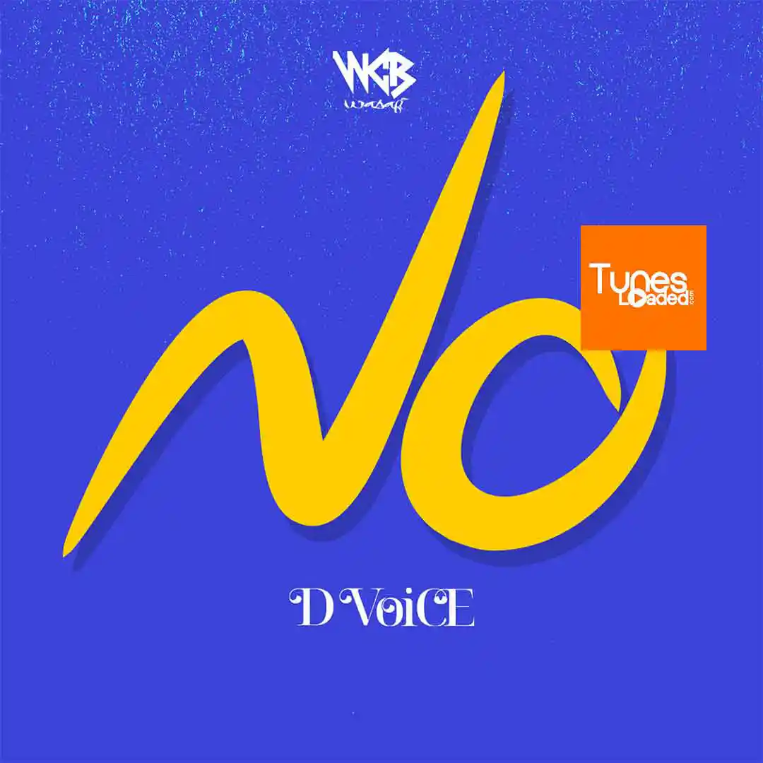 D Voice – No